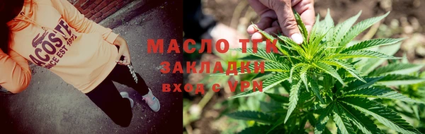 индика Балабаново